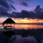 Photo by Liz Aguayo-unsplash